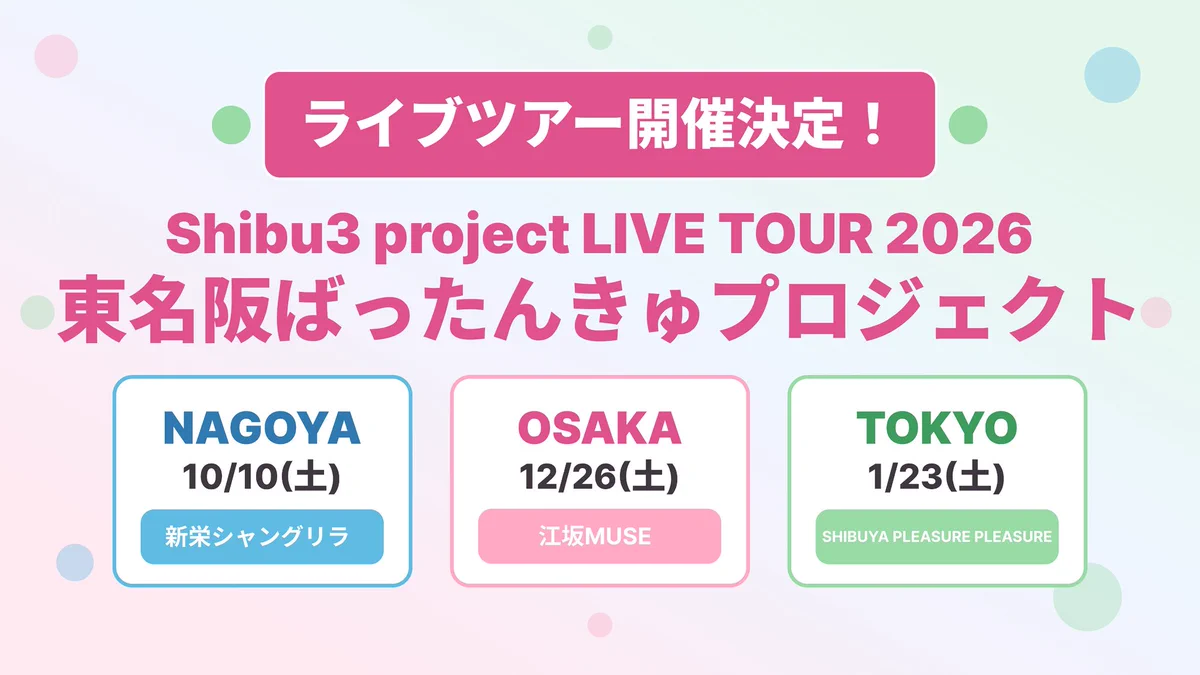 Shibu3 project on X: 