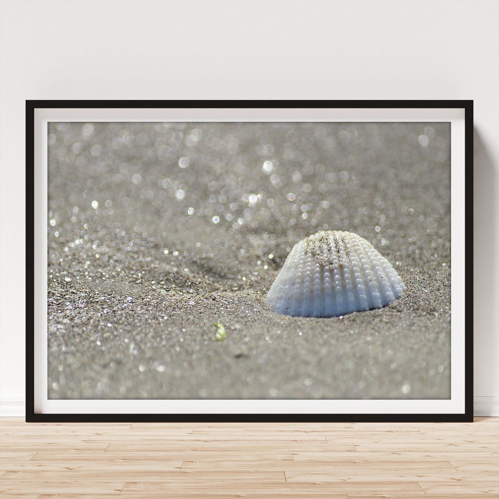 DebraMartz's tweet photo. "Seashell in the Sparkling Sand"
https://t.co/nSdpWtqgnK @debramartz

#coastal #beachy #sand #vacation #macrophotography #closeup #simplicity #minimalism #seashell #photography #PhotographyIsArt #BuyIntoArt #AYearForArt #WallArt #HomeDecor #giftideas https://t.co/8IPRQ5P8Mo