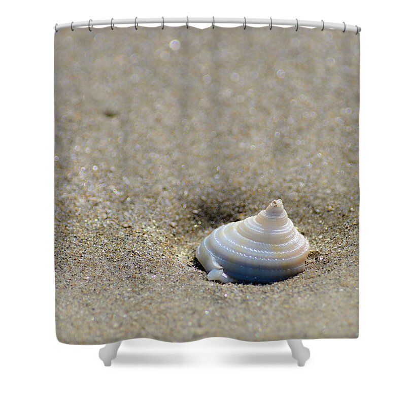 DebraMartz's tweet photo. Spiraling Seashell on the Beach makes for a great coastal shower curtain.
https://t.co/mFGDWZClMk @debramartz

#coastal #beachy #sand #vacation #macrophotography #closeup #simplicity #minimalism #seashell #photography #PhotographyIsArt #AYearForArt #giftideas #showercurtain https://t.co/QdwLwawqKh