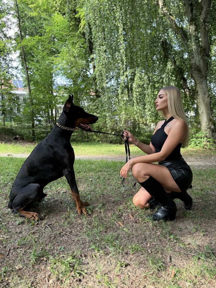 KikiPawsa5ij's tweet photo. Intense session last night.
The uncut version is in private.
Link in bio
#dogs #K9 #Germany https://t.co/X5jifSY9h5