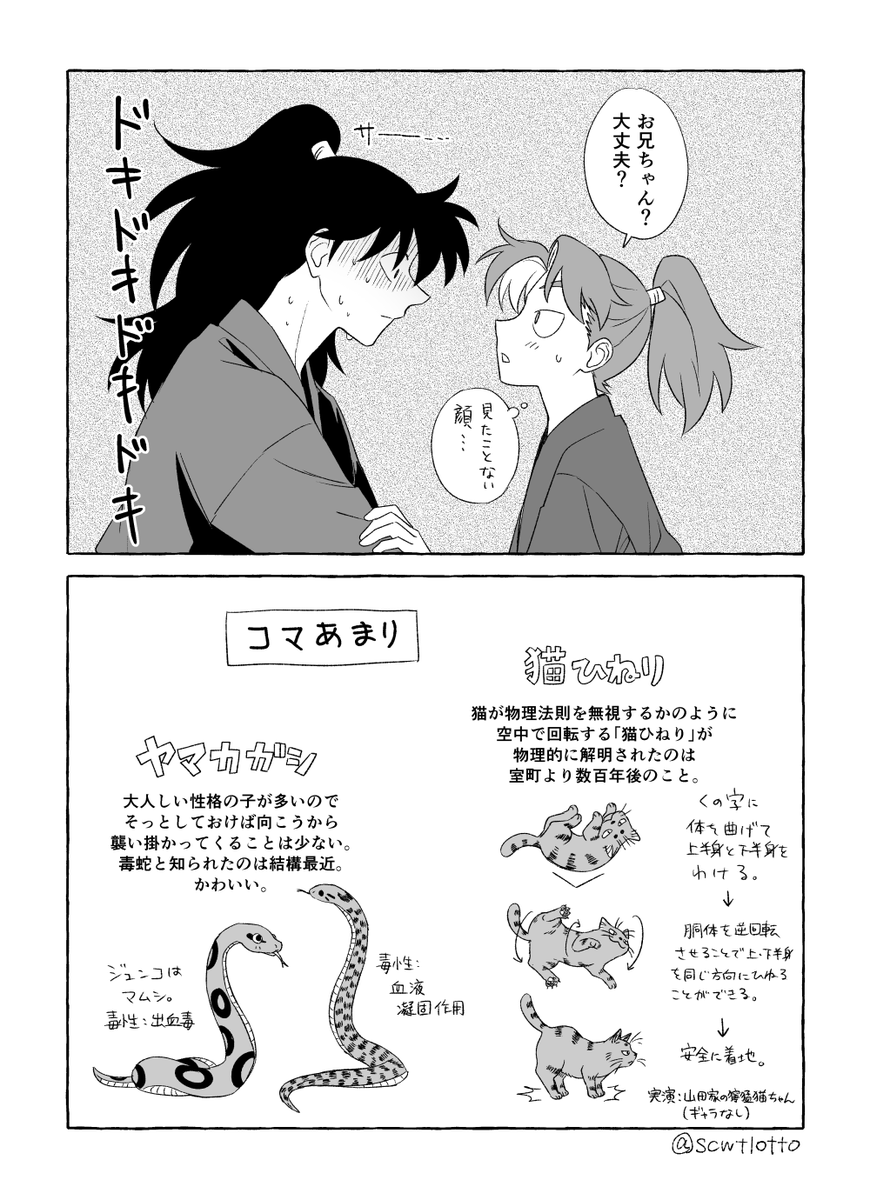 scwtlotto's tweet photo. 子利が猫ひねりできる妄想漫画（利土） https://t.co/axjjmKveg2