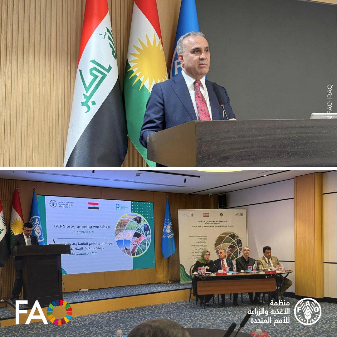 FAOIraq's tweet photo. شارك ممثل الفاو في العراق، @shajjhassan  وخبراء من المقر الرئيسي للمنظمة، ومكتبها الإقليمي للشرق الأدنى وشمال أفريقيا، وممثليتها في العراق، إلى جانب 26 ممثلاً حكومياً من وزارات البيئة والزراعة والموارد المائية، والأمانة العامة لمجلس الوزراء، وشركاء حكوميين آخرين. https://t.co/tgM7hp0wDt