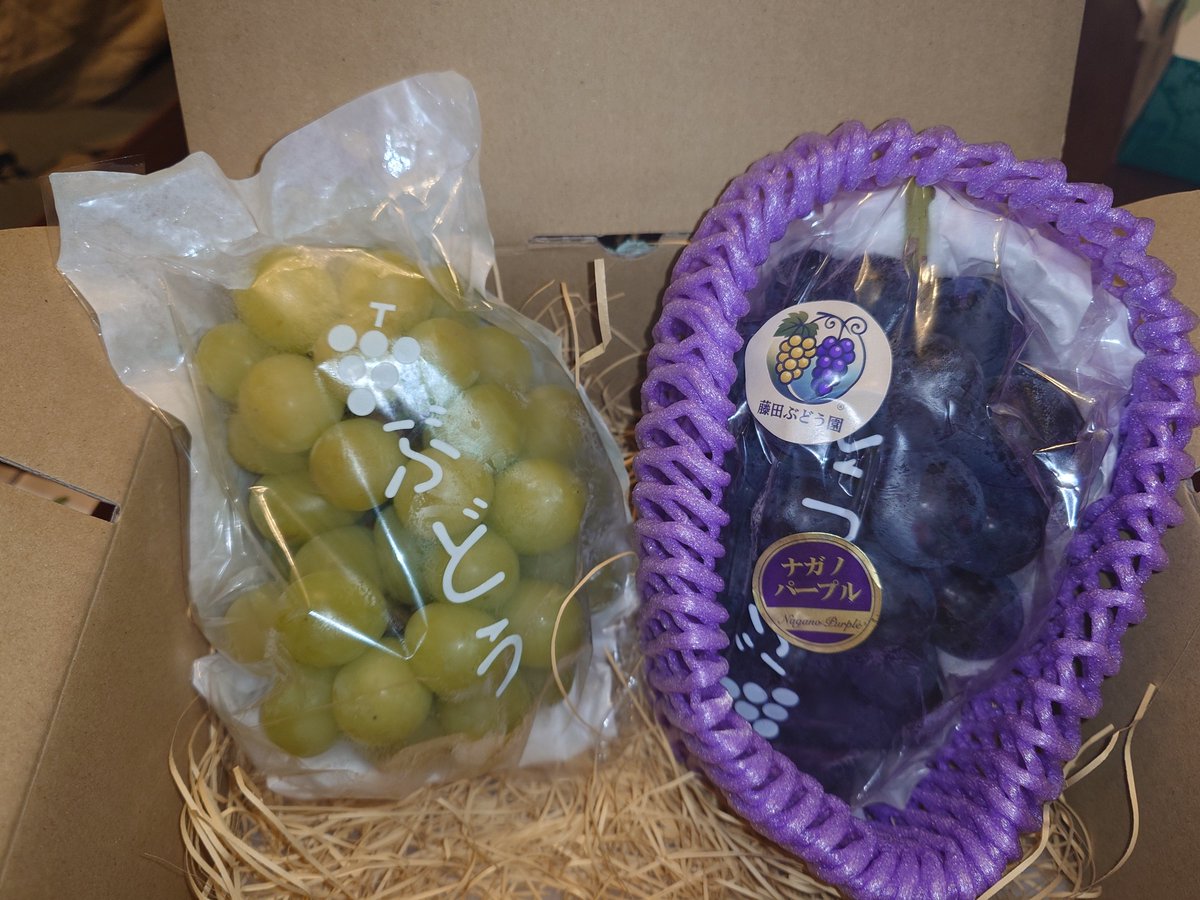 tanutanu1173's tweet photo. 今年もお買い上げ、和歌山県は藤田農園さんの葡萄２種🍇

ちょっと出掛けてたら娘１人で一房完食と意味がわからん事態😵‍💫
ま、独り占めしたくなるほど美味かったと勝手に脳内変換し、日本の旬を味わう喜びを感じてもらえたらいいかな🤔

シランケド…

#藤田農園
#ぶどう美味
#K_BALIFE https://t.co/o1TZpRAHtR