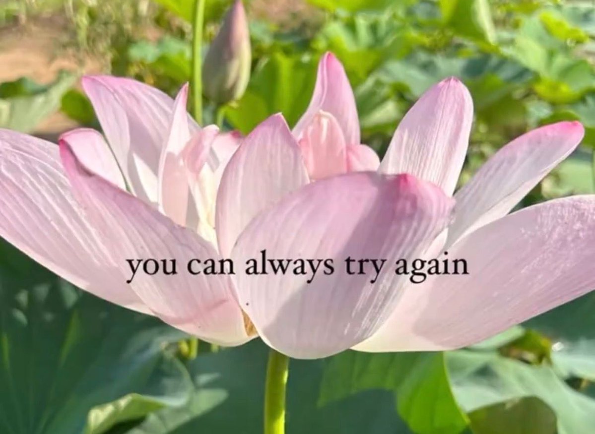 dailyhopecores's tweet photo. https://t.co/z3AOv91aq2
