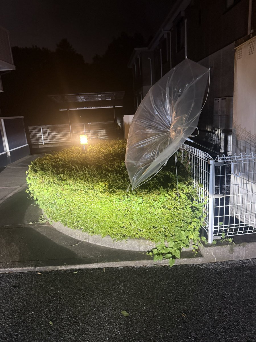 yuya332002's tweet photo. 台風の影響で…
帰ってきたらアンテナ📡
ついてた https://t.co/skD79nn3FV