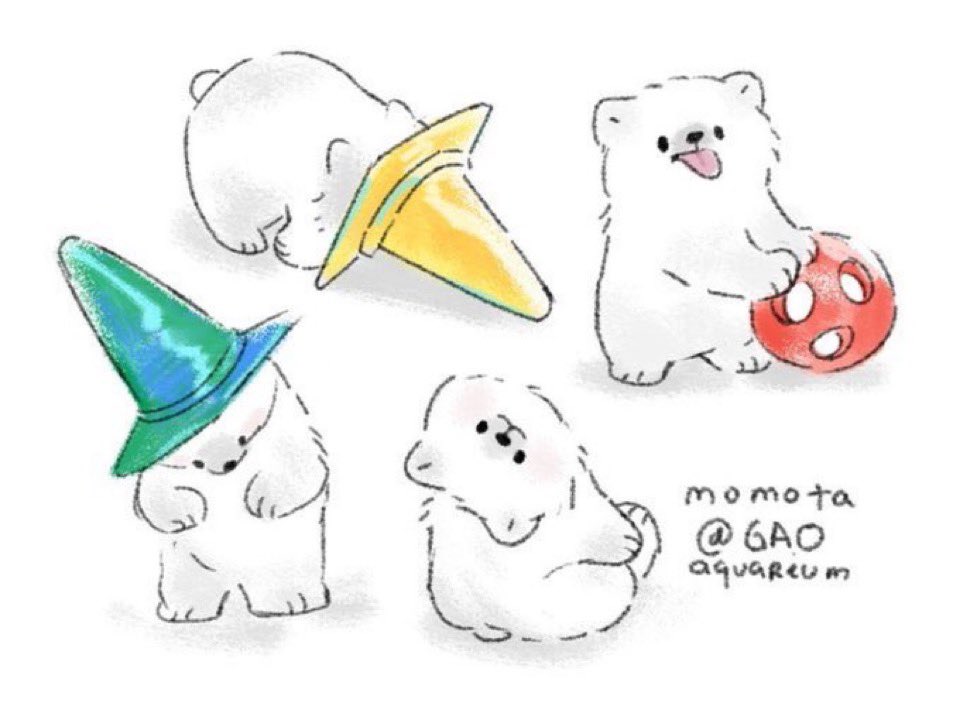 MomotaOnChain's tweet photo. @FoxNews The cutest polar bear in the world https://t.co/LNm7K8xk5w
