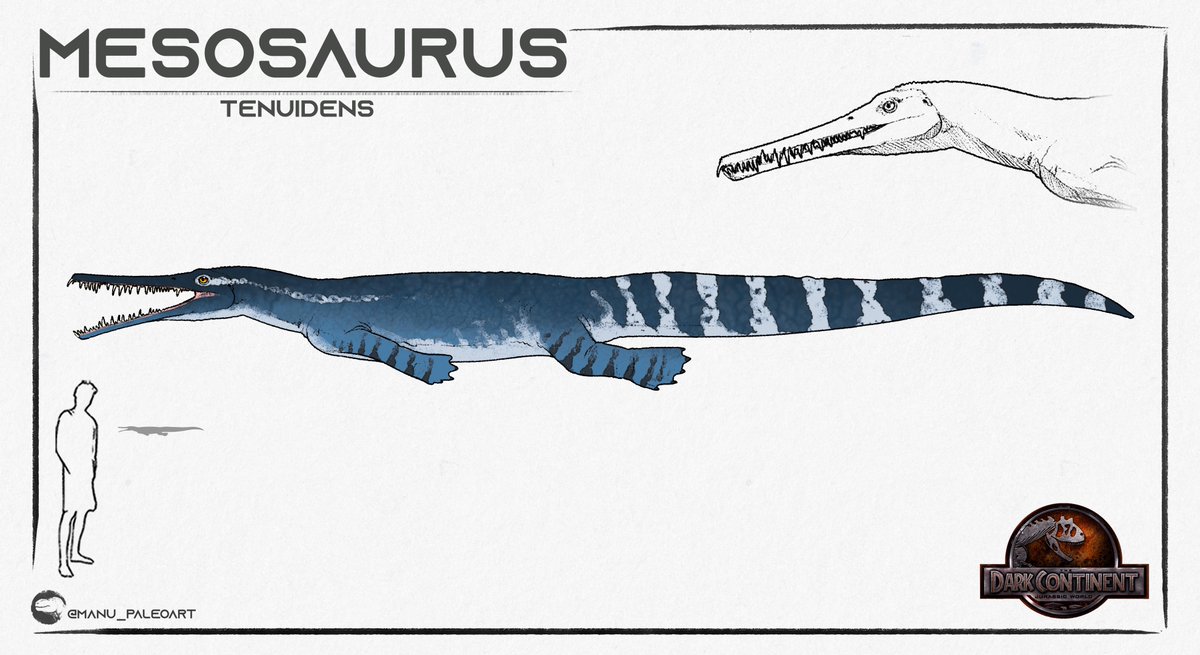 Brycenator100's tweet photo. 🚨Check Out The Stylized Design For The Male Mesosaurus In My Novel Primeval: The Dark Continent 🚨
•
🔍 Load In 4K To See The Full Detail 
•
✍🏻 Commissioned By: @MDinoart https://t.co/DCvluznfMi