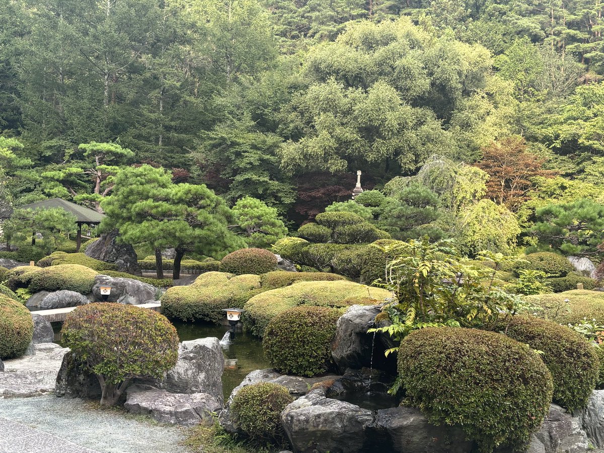 temakko's tweet photo. 旅行堪能して参りました✨
富士山も綺麗に見えて良かった〜！☺️︎︎︎🫶 https://t.co/1n2NtWugWU