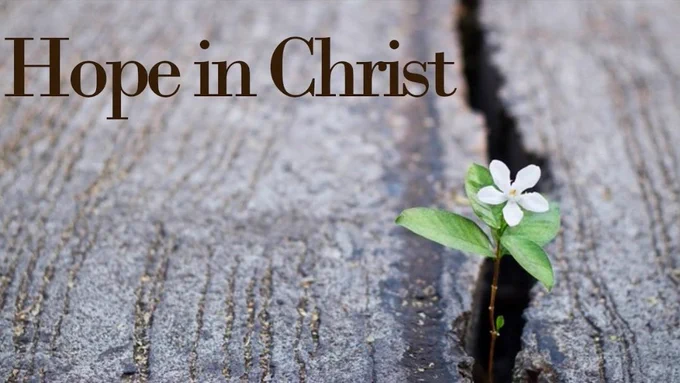 JesusSavesUs777 tweet picture