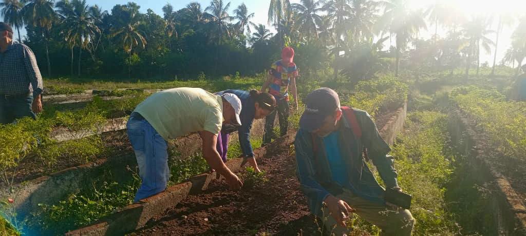 CNCTVGranma's tweet photo. La #UniversidadDGranma amaneció en movimiento. Pala, pintura y corazón en cada rincón. Trabajo voluntario que honra al Comandante con hechos, no palabras.
@BarceloOrt92635 
@YanetsyTerry 
@PartidoPCC 
@DiazCanelB 
#100AñosConFidel 
#50AñosFormandoFuturo https://t.co/GG6qGD2ARx
