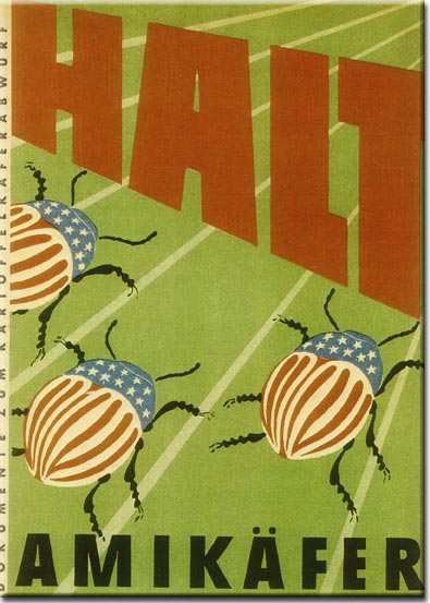 GDRvisuals's tweet photo. East German propaganda poster warning about the United States dropping Colorado beetles on East Germany to ruin potato crops, 1950. https://t.co/AKAqphX0Nn