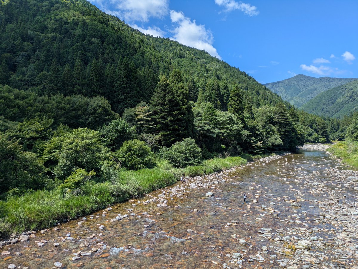 shinanomon's tweet photo. 日本の夏には岐阜の清流が欠かせない。 https://t.co/ENemSLUQKk