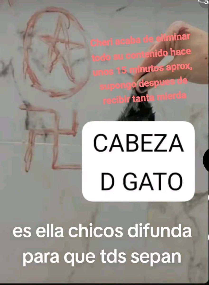 i1936229017's tweet photo. Chicos sobre lo del gato, no reporten al numero 52 644 172 0989, es un tipo que se hizo pasar por la chica que realmente le hizo eso al gato, estoy investigando y al parecer son 5 tipos los que iniciaron con todo esto, la principal que NO es vannesa si no una fan es cheri. https://t.co/JzFKFLdBD1