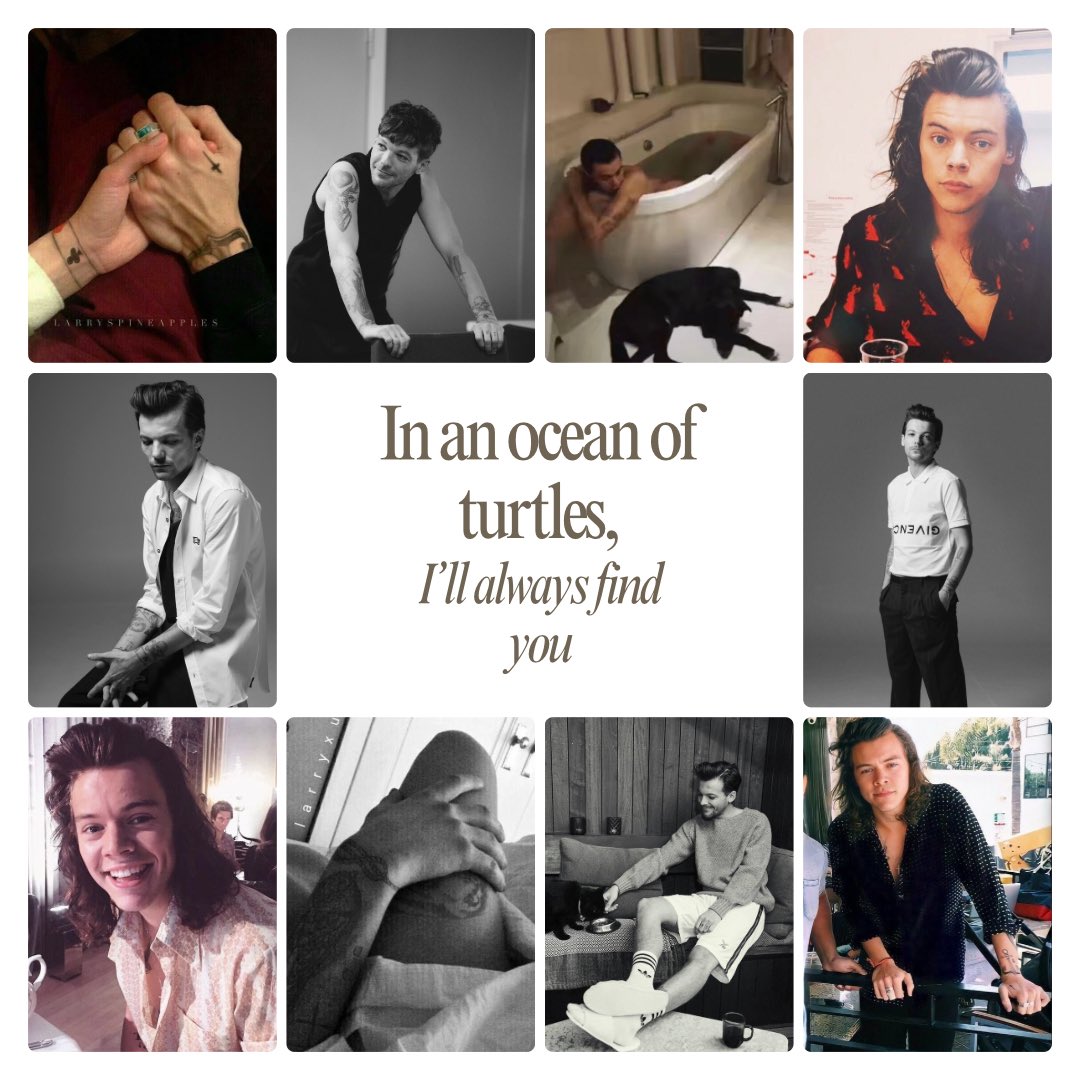 Turtle28_'s tweet photo. In An Ocean Of Turtles, I’ll Always Find You 🐢🌊💚

461k | 38 chapters | E | Turtle Series part 2

OUT NOW!! 

https://t.co/s0H2QGE0tT

Remember to read the tags!
~~~
They’re still dumb. They still can’t communicate. They promise not to lie to each other but here we fucking are. They have sex though. Lots of sex.
~~~
Harry stared Louis right in the eyes as he took a step back. “I’m done.” He watched as the words hit. “Done being controlled. Done being told where to sit, what to do, how to breathe.” 

Louis’ voice was calm, in a way that was more dangerous than shouting. “You don’t get to throw that word, done, at me like it means nothing. Not here, not with me.” He stepped forward, forcing Harry to take another step back. “You’re angry? Fine. You’re jealous? Good. But don’t you dare stand here and pretend you want to walk away from what’s ours.”
~~~
Life was never the same after the incident in New York, and Harry had been living with a broken heart ever since. Patched together with a few Band-Aids that threatened to rip at any time. Would he ever get to know the truth about Louis? And even more so, would he ever get to know the real Louis? 

They’d already broken each other once, and unfortunately for the two of them, the future didn’t seem to be much brighter. Louis knew he had to change, and if he ever got another chance, he was determined to do so. Mostly, at least. 

What happens when independence knocks on the door and offers the opportunity of a lifetime? Will it end in another heartbreak? 👀

A story about two people who keep making the wrong choices and somehow keep finding their way back to each other.

If you haven’t read The Turtle Series Part 1 I suggest you do that now: https://t.co/OFVPYVKUKu