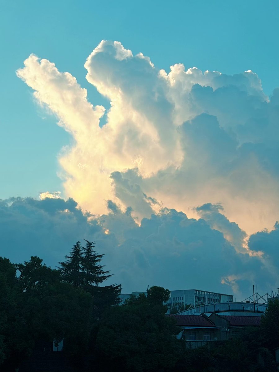 for0927x's tweet photo. 260811 Lu Yuxiao Weibo update 

“I said, "Come on, sun! I'm ready." 
And the sunlight really did pierce through the clouds…

Thank you 🌞 for always cooperating with my little system like this!”

#LuYuxiao #卢昱晓 https://t.co/XOB1s4xNLq