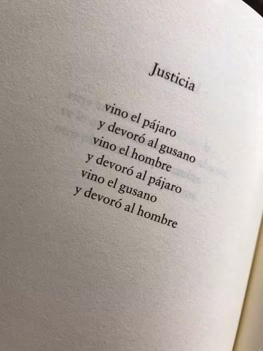 literlandweb1's tweet photo. Blanca Varela https://t.co/VwFvKaNSUx