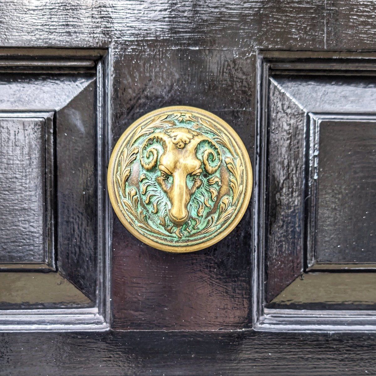 SidewalkSafari's tweet photo. This week we are zooming in on some door details. The theme of the Door of the Week competition is best escutcheons in Europe. Cast your vote here: https://t.co/trDDQ2bSbl
#NoContextDoors #DailyDoors #Details https://t.co/zxZWI1aBlE