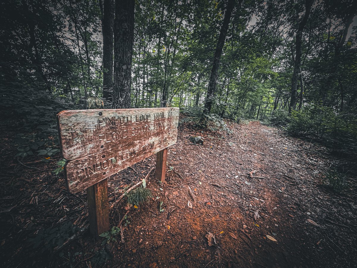 milesformike's tweet photo. My favorite picture from yesterday's unexpected trail adventure for #TrailTuesday
You know you're on the right trail when the signs are worn and faded. https://t.co/MkV00HHxWo