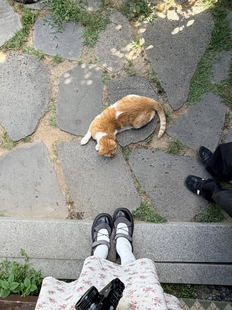 tenizip's tweet photo. 너무 행복했던 당일치기 공주 여행 🚶‍♀️
날도 좋아서 걷는 게 무척이나 행복했음 🫪
바쁜 탓에 두 달 동안 카메라를 못 들었는데 잊고 지냈던 내 사진 취미 생활도 오랜만에 즐기구 왔다... 🥺
아무튼 오랜만에 복잡한 곳에서 벗어나서 잔뜩 힐링하고 오고 정말 꿈 같은 하루! ♡¨ https://t.co/GZEiuDJ1e7
