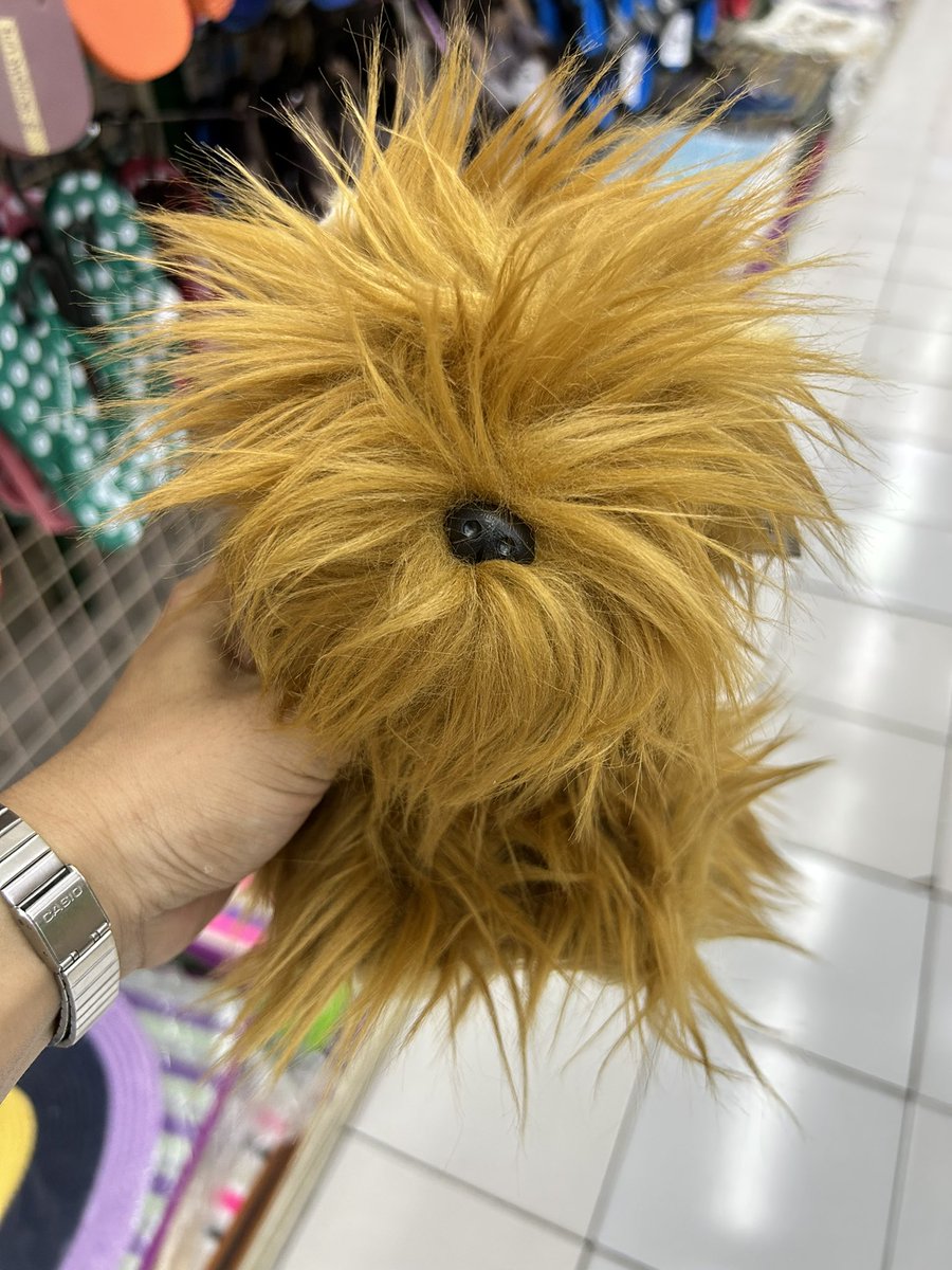 ItsObuy's tweet photo. Ini boneka anjing yang belum cukuran https://t.co/OAoNrffu14