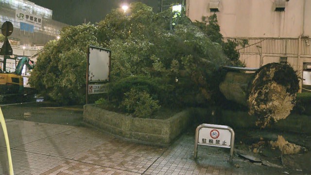 nmaiyasan's tweet photo. えっ、宇都宮駅前の木が強風で倒れたのか・・・

栃木県内で倒木相次ぐ　宇都宮駅前や東北道で道を塞ぐ　けが人なし
https://t.co/syGWvLrlro https://t.co/pTaIR2Xf3k