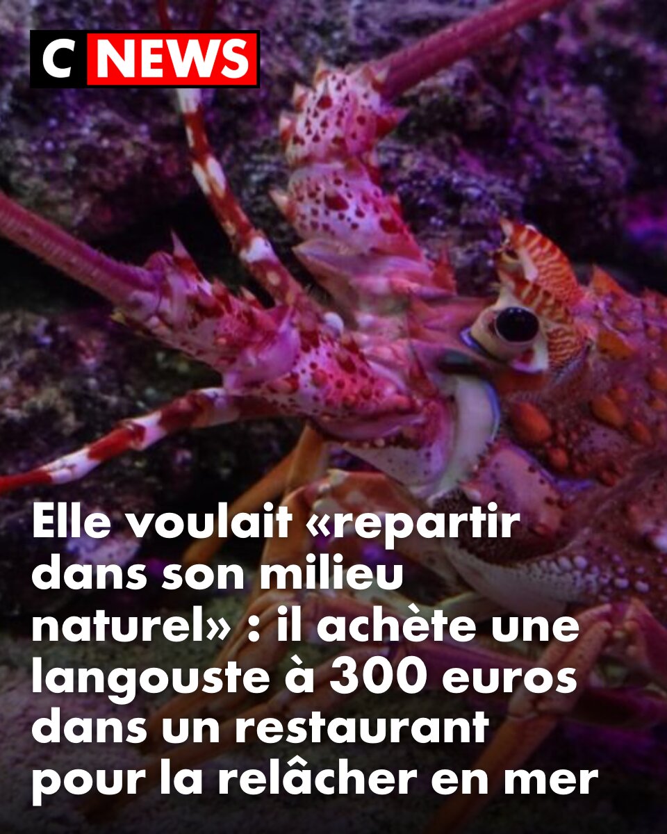 CNEWS's tweet photo. Une démarche qui a surpris les serveurs. ➡️ https://t.co/dRMxZEYuvj https://t.co/b78Ls9uBcZ
