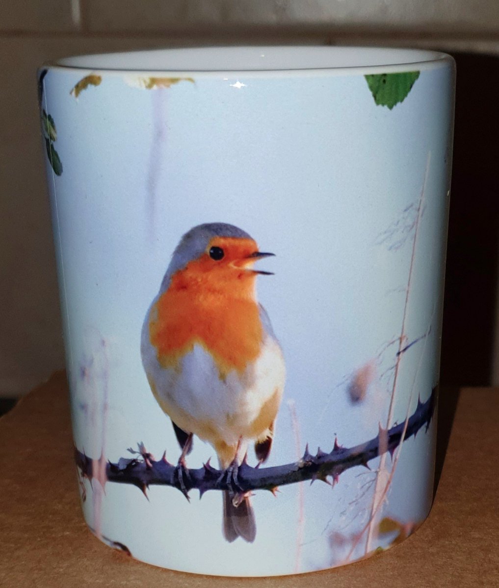 CarlBovisNature's tweet photo. Just imagine relaxing with a nice mug of tea or coffee, and spending your break with my birds! 🥰
 Well, imagine no longer, because you can do just that! 😀
 My mugs are well made, colourful & popular.. I even have a rabbit one! 🐇
  You can buy them here;
https://t.co/ExIWJam40w 🐦😊❤️