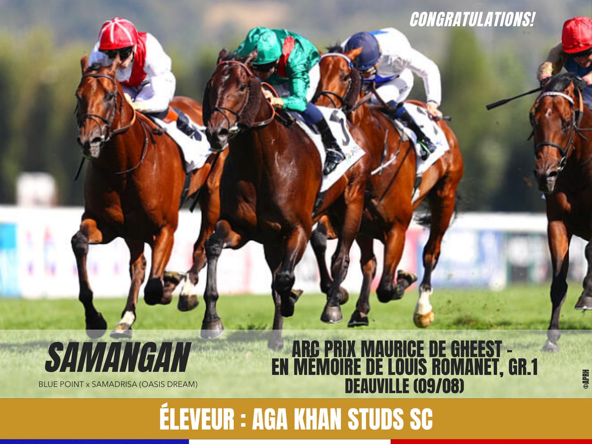 Fedeeleveurs's tweet photo. ☀️🌊 Toutes nos félicitations au @AgaKhanStuds et SAMANGAN, fils de #BluePoint, pour la victoire de ce dernier dans le ARC Prix Maurice de Gheest - En mémoire de Louis Romanet, Groupe 1 à @fgdeauville (09/08) !🙌
#vivelelevagefrancais #BreedInFrance #RaceAndCare https://t.co/3s2ExCmFNg