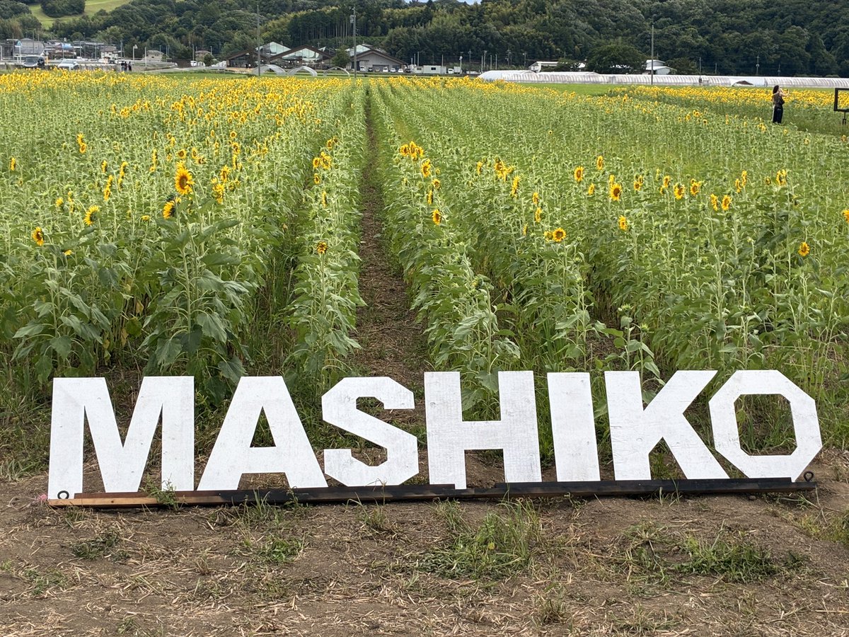 ake29844530's tweet photo. 佐野ラーメン🍜食べて
益子のひまわり🌻を見て
素敵な休日💓 https://t.co/uBZjY5Foxg
