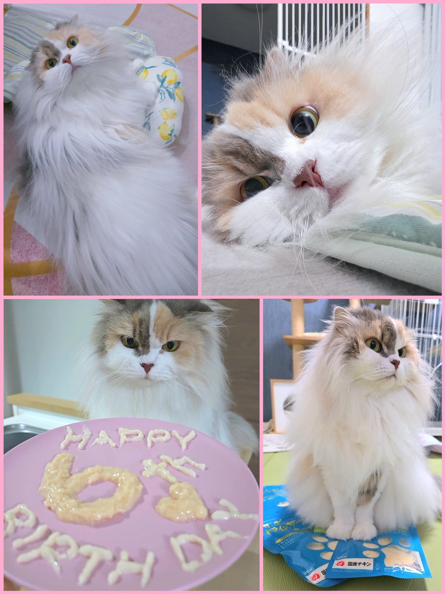 RIN_nyaaa0712 tweet picture