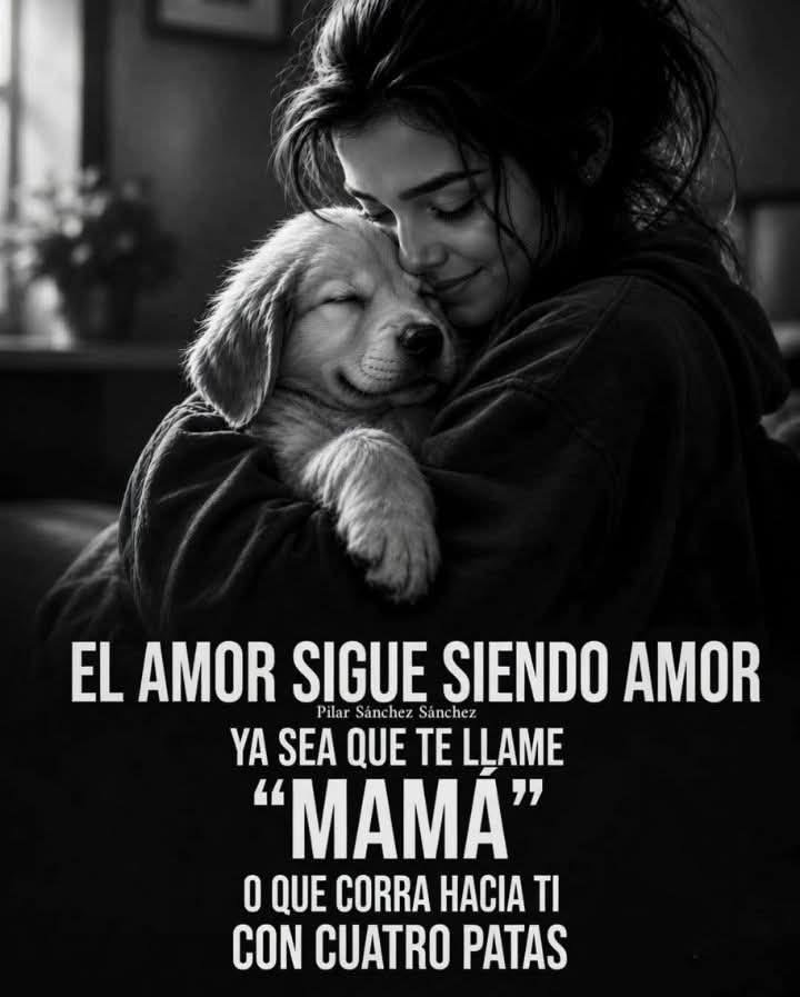 rey_latino33087's tweet photo. https://t.co/CM7sfVF5or