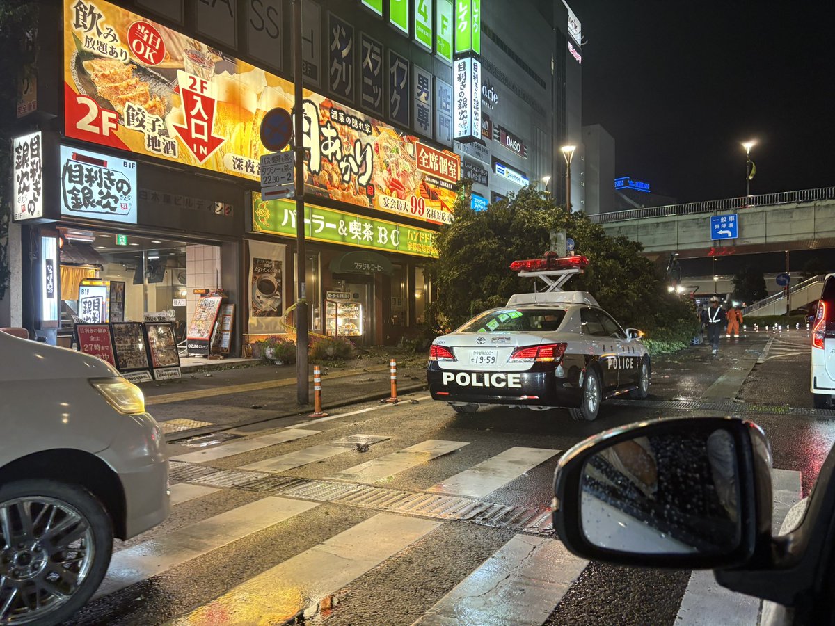 odango_ut's tweet photo. 台風による強風の影響で
JR宇都宮駅の西口にある
トナリエの目の前の巨木が倒れている… https://t.co/KqdrPmmafa