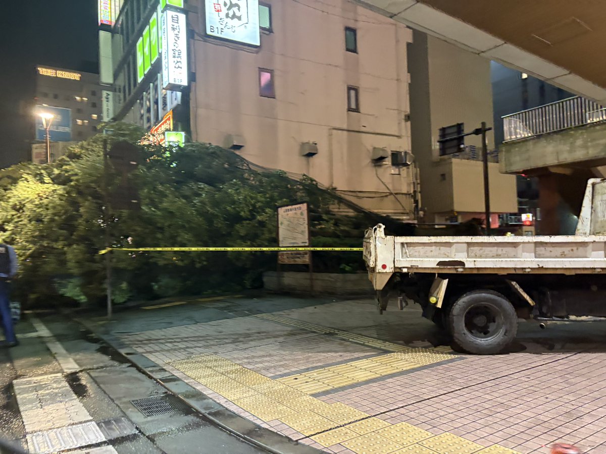 odango_ut's tweet photo. 台風による強風の影響で
JR宇都宮駅の西口にある
トナリエの目の前の巨木が倒れている… https://t.co/KqdrPmmafa