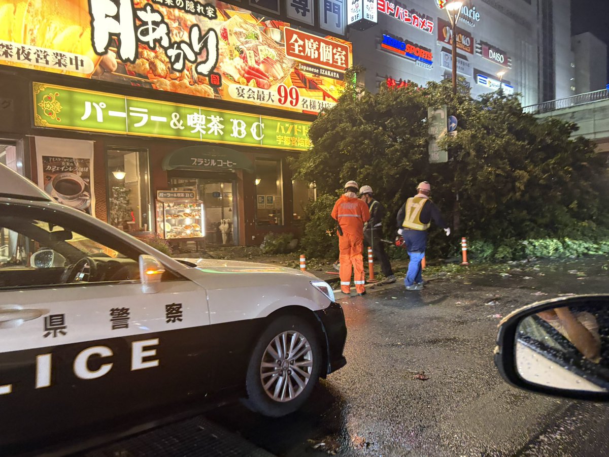 odango_ut's tweet photo. 台風による強風の影響で
JR宇都宮駅の西口にある
トナリエの目の前の巨木が倒れている… https://t.co/KqdrPmmafa