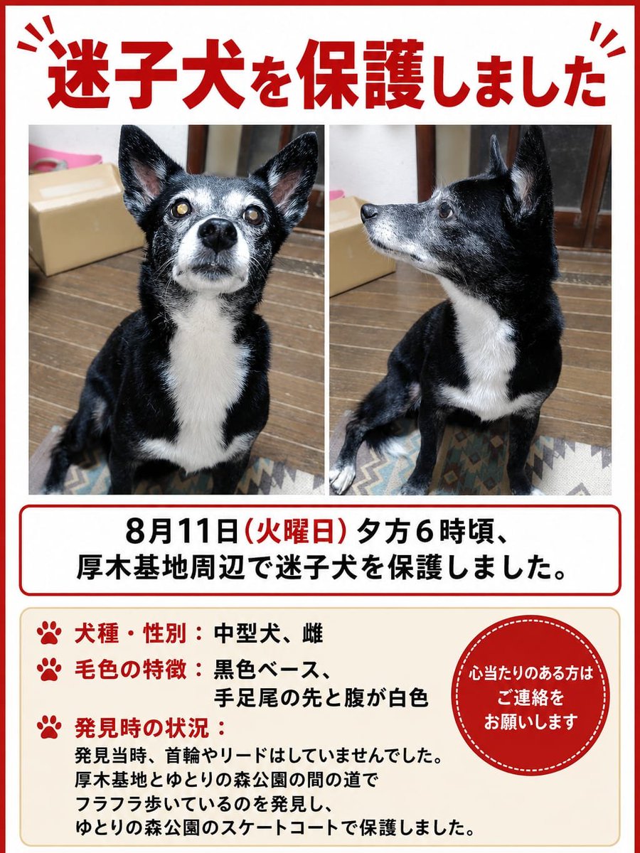 boncukask's tweet photo. https://t.co/BP795XdHuI