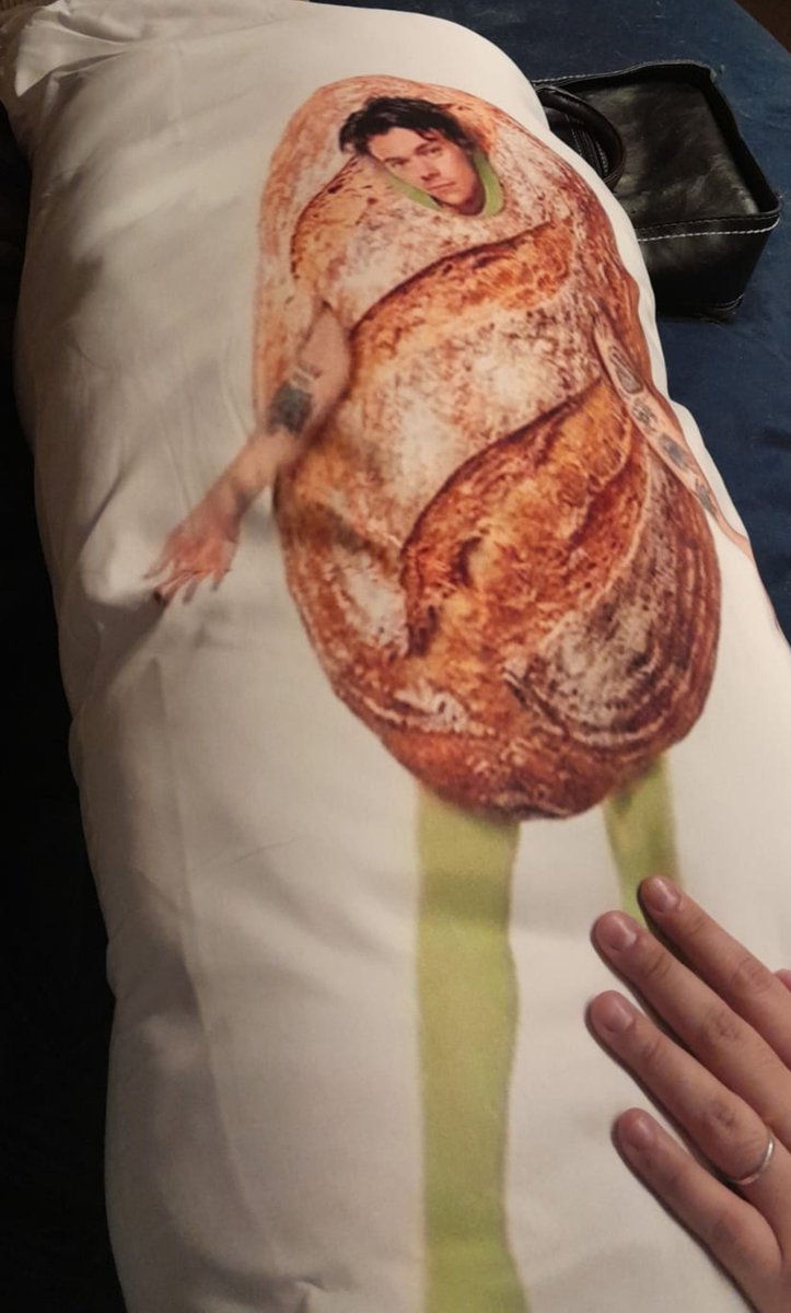 sofisgb's tweet photo. Ganhei um iconico travesseiro Harry Breadward Styles https://t.co/HsHuXZFBD4