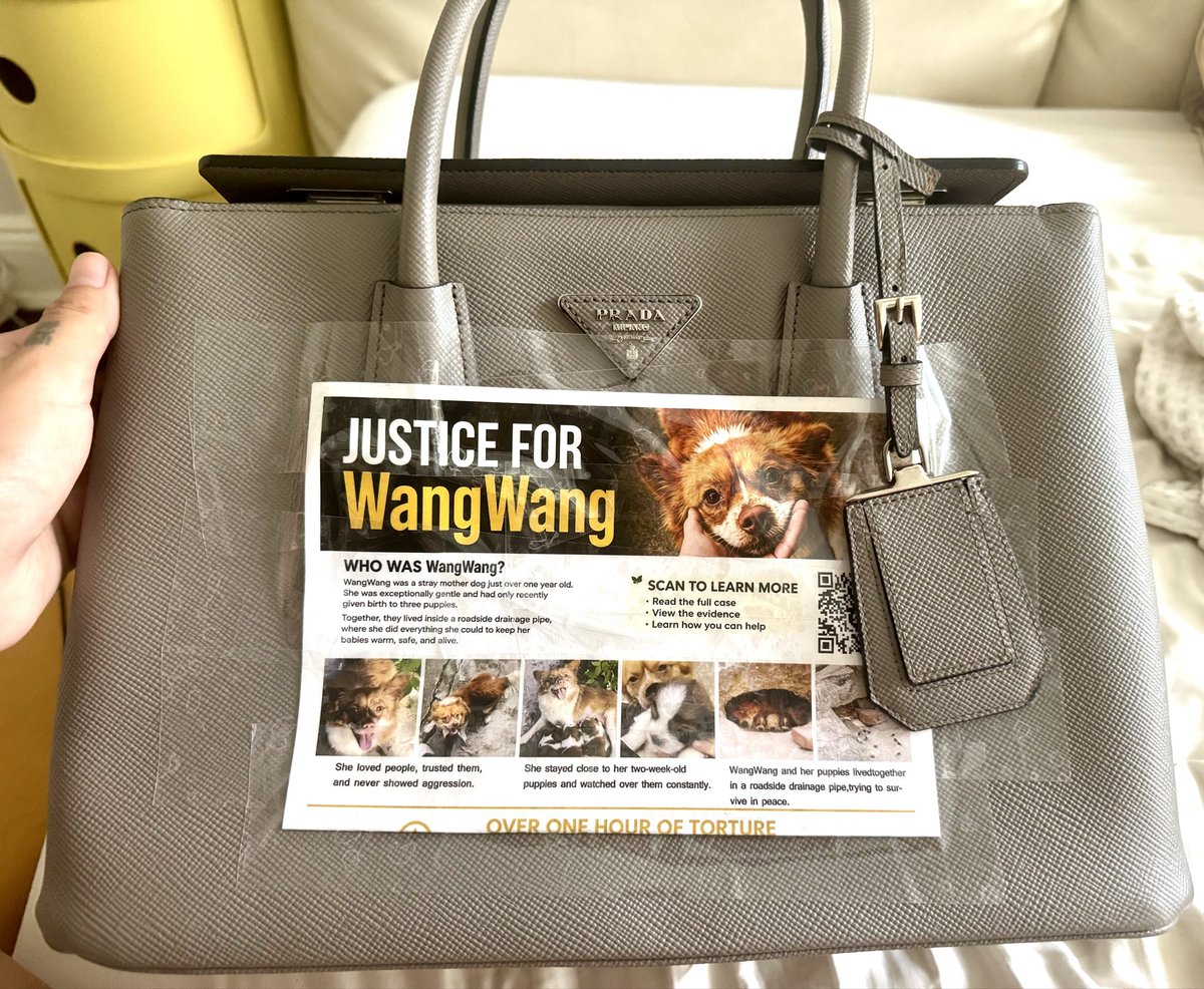 Aincident_watch's tweet photo. This Saturday, I’m bringing Wangwang’s story to the Hamptons. 🐾💔
I’ll be at @ARF_HAMPTONS’ annual Bow Wow Meow Ball—hoping more philanthropists, animal lovers, and advocates will learn her name, know what happened to her, and use their voices for her.
I even found a Wangwang T-shirt online to wear—not just Saturday, but whenever I can. I want people to see her face, ask who she was, and remember her. 🐶
(Amazon search: “Wangwang”)
Wangwang deserved protection. She still deserves justice.
Please remember my baby. Please speak for her. 😞
#JusticeForWangWang #WangWang