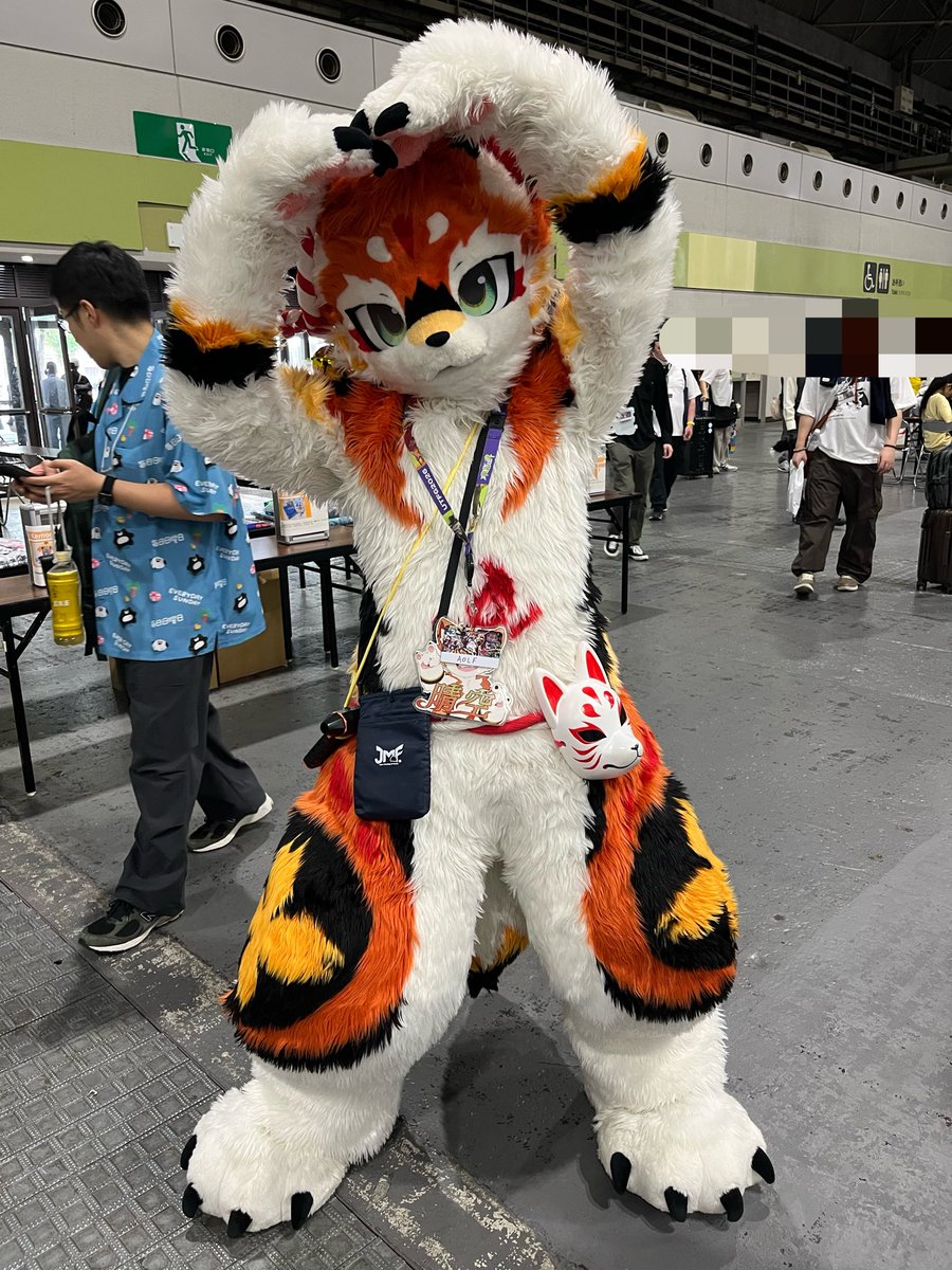 ki86foxcait's tweet photo. Aolfさん宅の晴空(せいくう)君を撮りました!
@mofumofuseikuu
@mofumofuaolf
#OFFF
#OFFF2026 https://t.co/CSX7wMaHFY