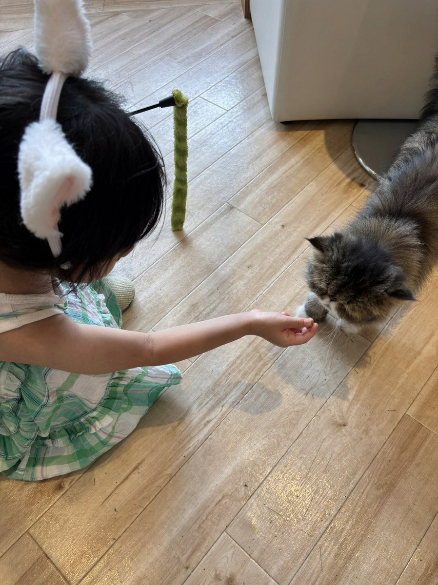 dindiniks's tweet photo. 今日はゴンチャでヘトヘトになるまで遊んだ https://t.co/kRKcyrNIVK