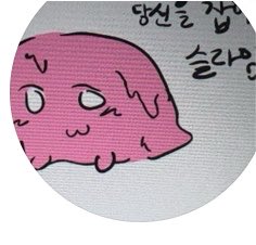 Lokleraxk's tweet photo. ㅅ발 어떡해.. 갠봇님한테 이 슬라임귀녑지않ㄴ냐고 장난으로 바꿔달라고햇는데 진짜 바꿔주셧어… https://t.co/Jszq7UFCsF