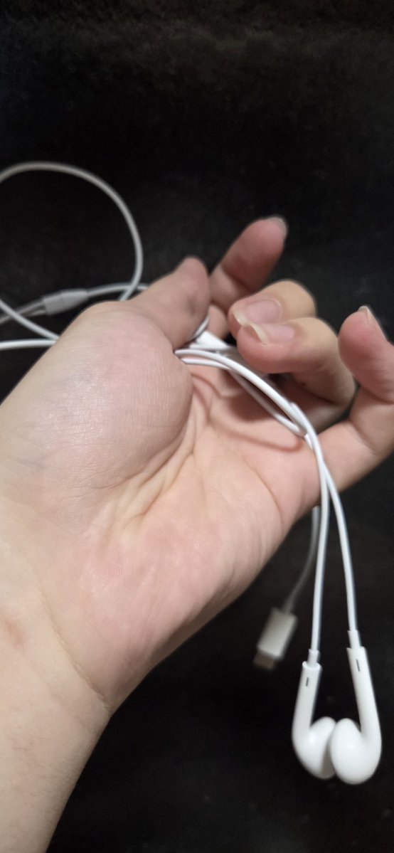 Lixbr7's tweet photo. 適当にスマホに差しとけばオシャレに見えるからおすすめ https://t.co/XSMrdUgByX