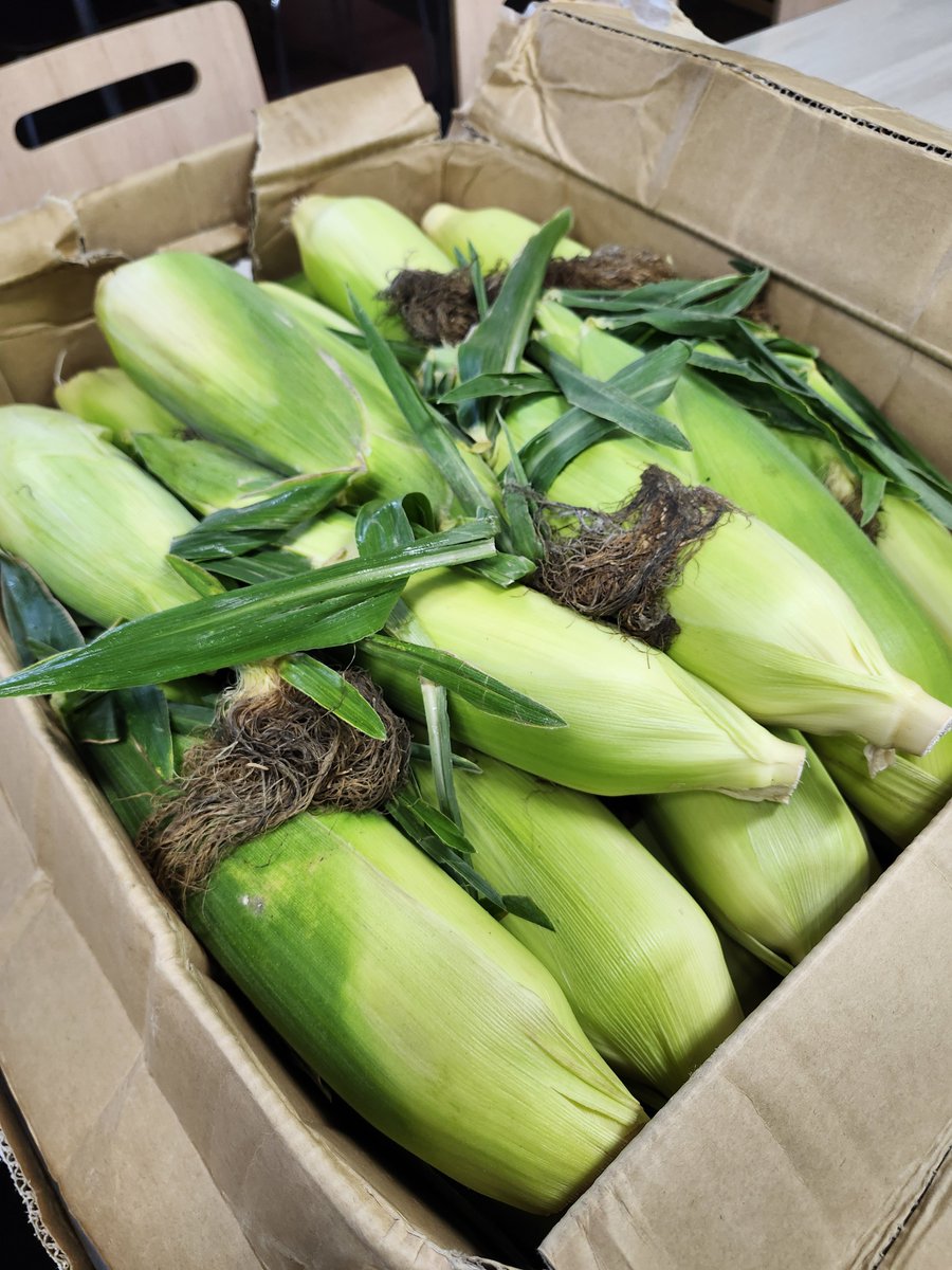 Hanayukiii's tweet photo. 北海道から送ったとうもろこし🌽
みんなで食べたよー😆

#樋口物流サービス
#M姐さんが行く https://t.co/StzRcwrxqn