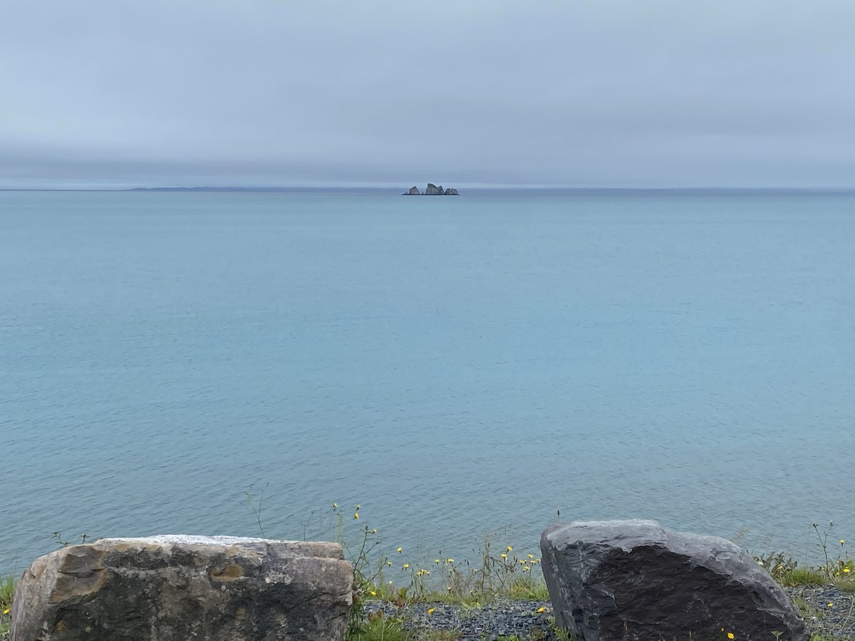 CorinaJReid's tweet photo. Trinity Bay with some #Turquoise looking water today?
@drjwlawson what's that all about?
A marine thing or #Weather related?
#NLwx #Winterton #Whiteway Tia.. https://t.co/LelMAfzDuh
