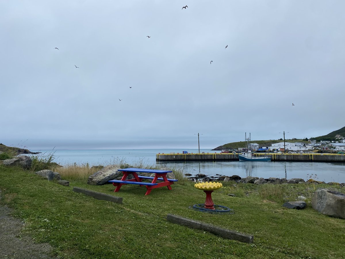 CorinaJReid's tweet photo. Trinity Bay with some #Turquoise looking water today?
@drjwlawson what's that all about?
A marine thing or #Weather related?
#NLwx #Winterton #Whiteway Tia.. https://t.co/LelMAfzDuh