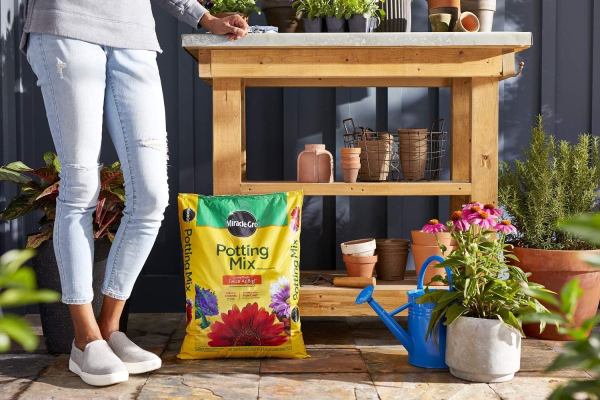 DustinMPeyser's tweet photo. The Best Soil for Herbs, Picks from Our Editors https://t.co/2GsjG4aHA0 👉 Find Hidden Equity https://t.co/YyjTztX4Wv 👈 #HerbGardening #SoilHealth #GardeningTips #FreshHerbs #HomeCooking https://t.co/FJwQIW7a0d