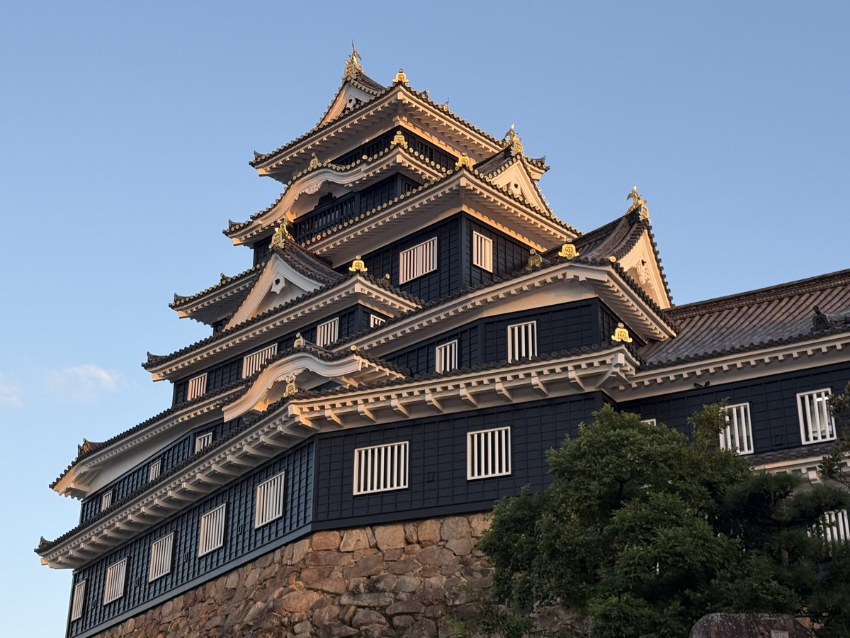 gamapyon's tweet photo. 夕焼けの岡山城と旭川
後楽園夏の幻想庭園
夏の烏城桃源郷
綺麗でした☺️✨ https://t.co/2nPNuBeoQ3