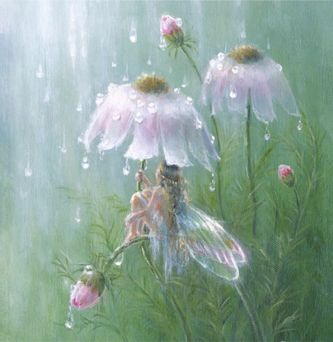 dreamyyarchive's tweet photo. born to be a fairy forced to be a human https://t.co/yTHHRA3JCl