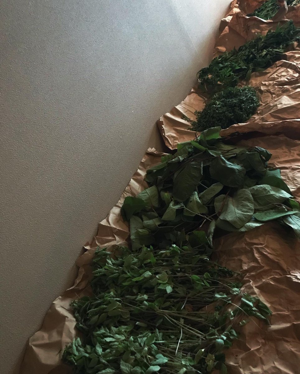 CAFEsoyo's tweet photo. 「 薬狩 」

宮城県白石市にて
アイヌ人から教わった薬草を、
無肥料無農薬
ファイトケミカルで育て
薬草茶にしています。

野生味と滋味を楽しんでみてください。 https://t.co/mbgtdWIzWc