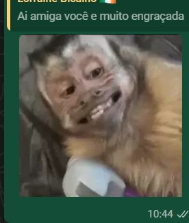 LoryLira's tweet photo. toda vez que um amigo manda isso eu ganho 10 ano de vida https://t.co/92vGugG61L