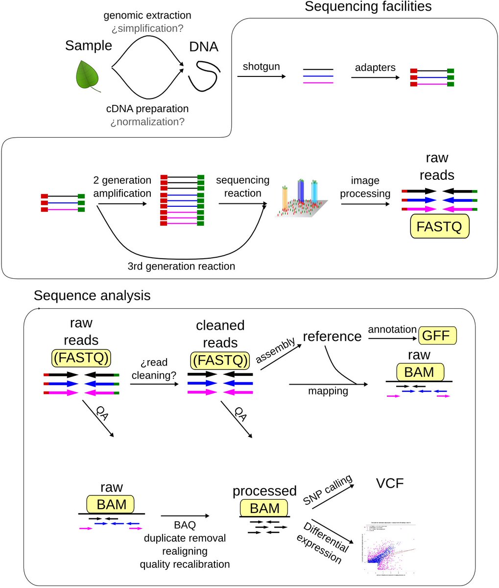 tangming2005's tweet photo. Understand NGS sequencing files
https://t.co/vaoY7nJiO7 https://t.co/P2mwcMVZHc